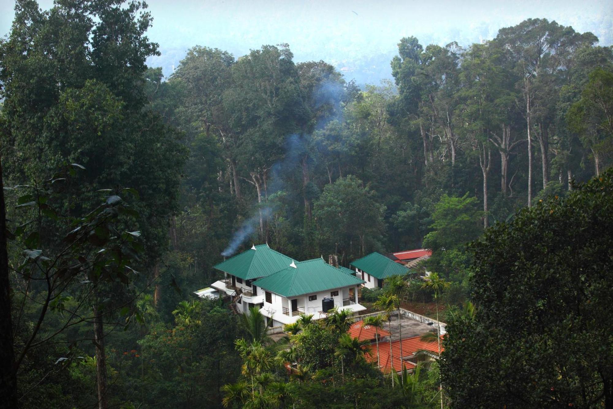 Shades * Munnar