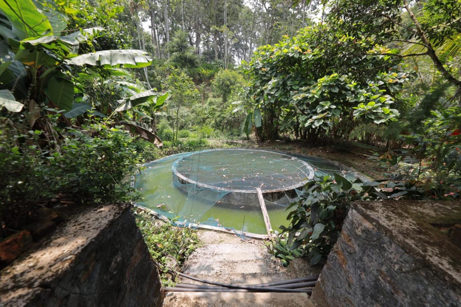 Shades Homestay Munnar