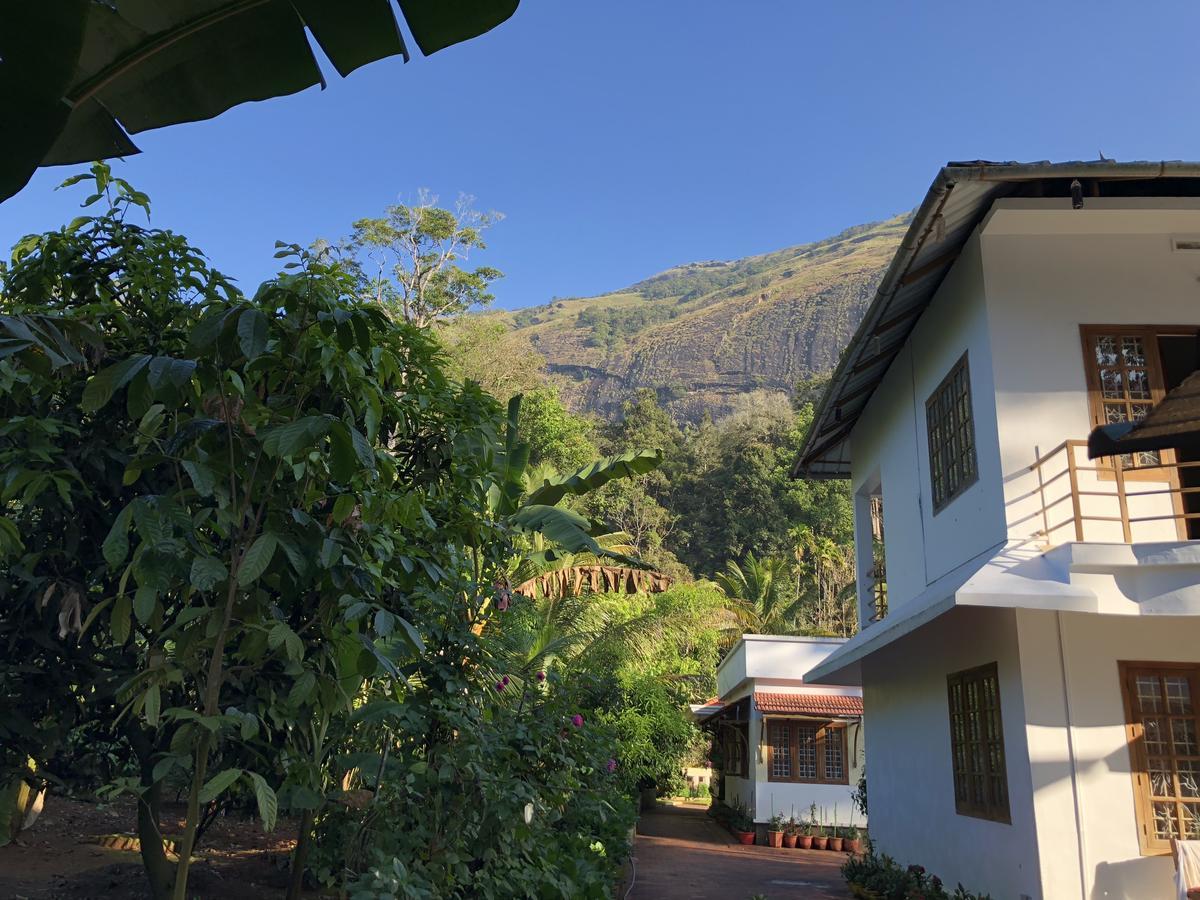 Homestay Shades