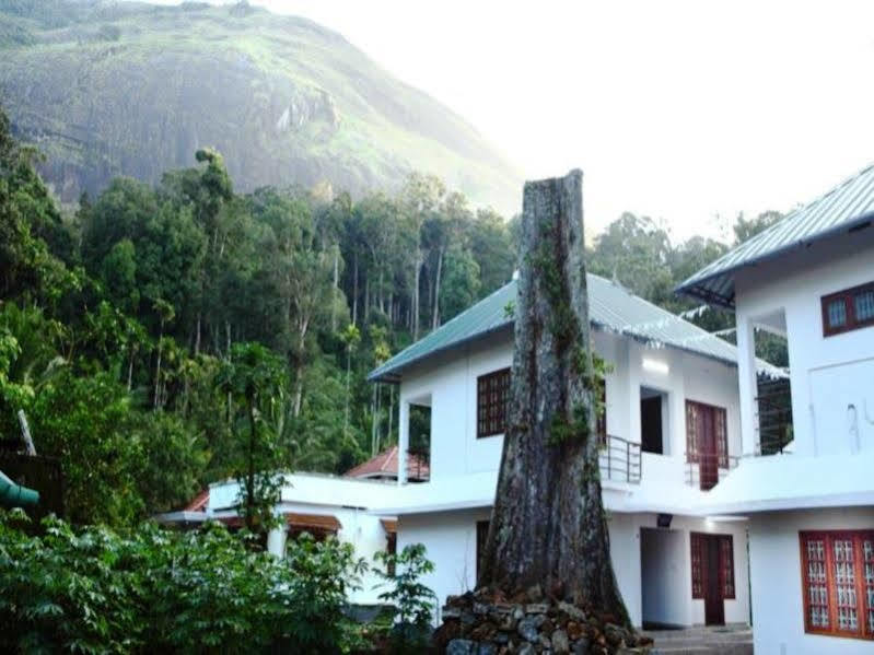 Shades * Munnar