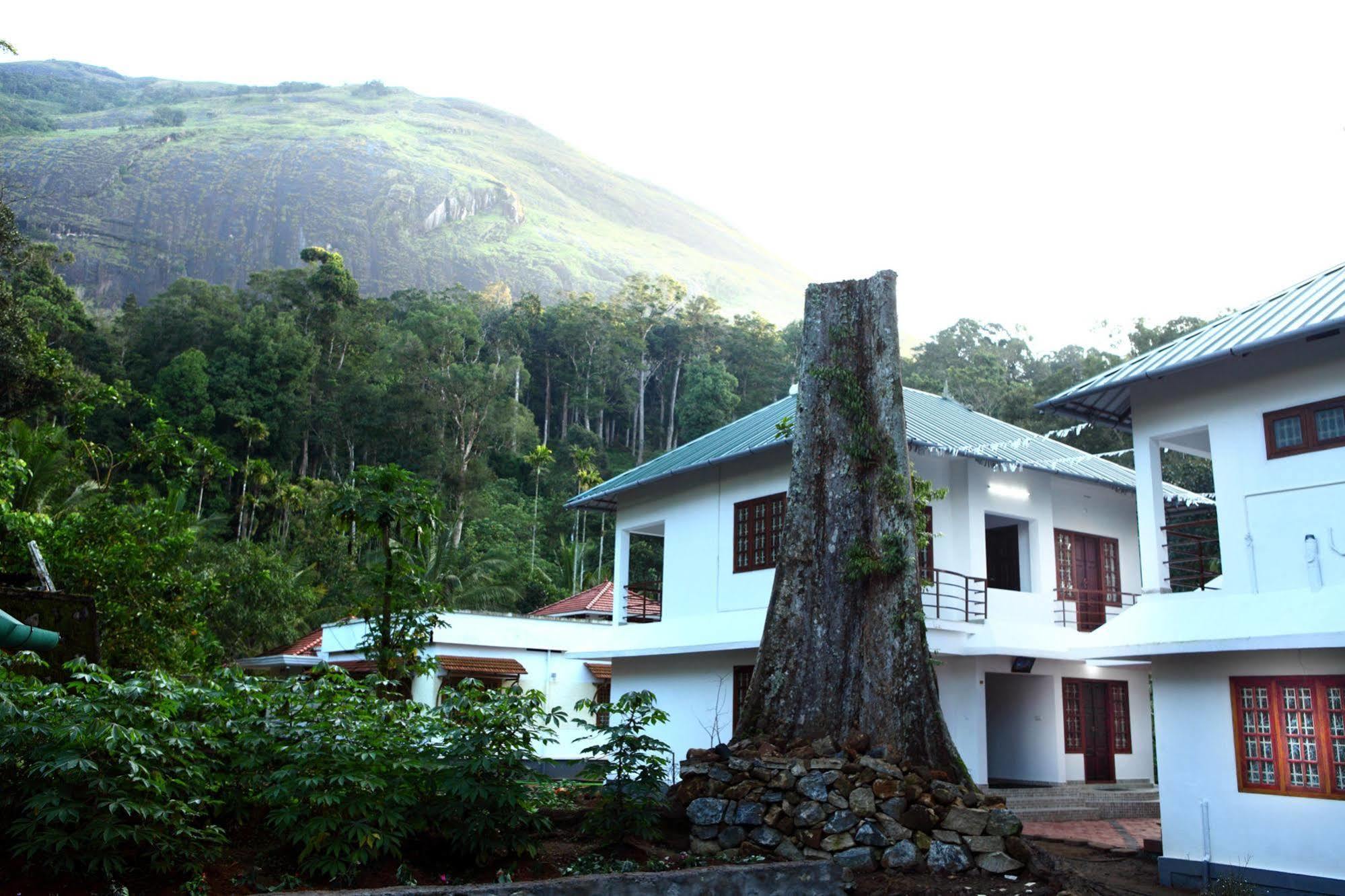 Shades Munnar