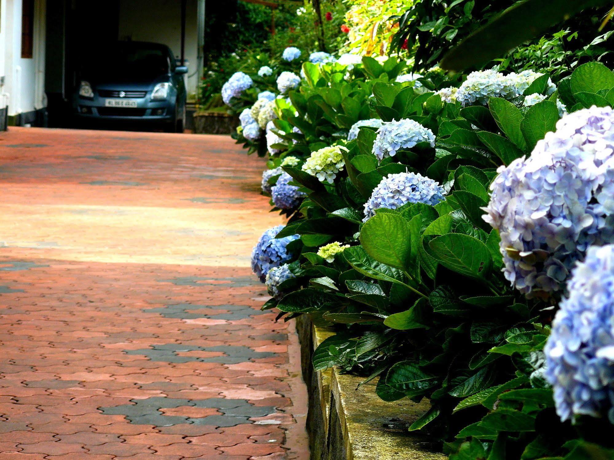 Shades Homestay Munnar