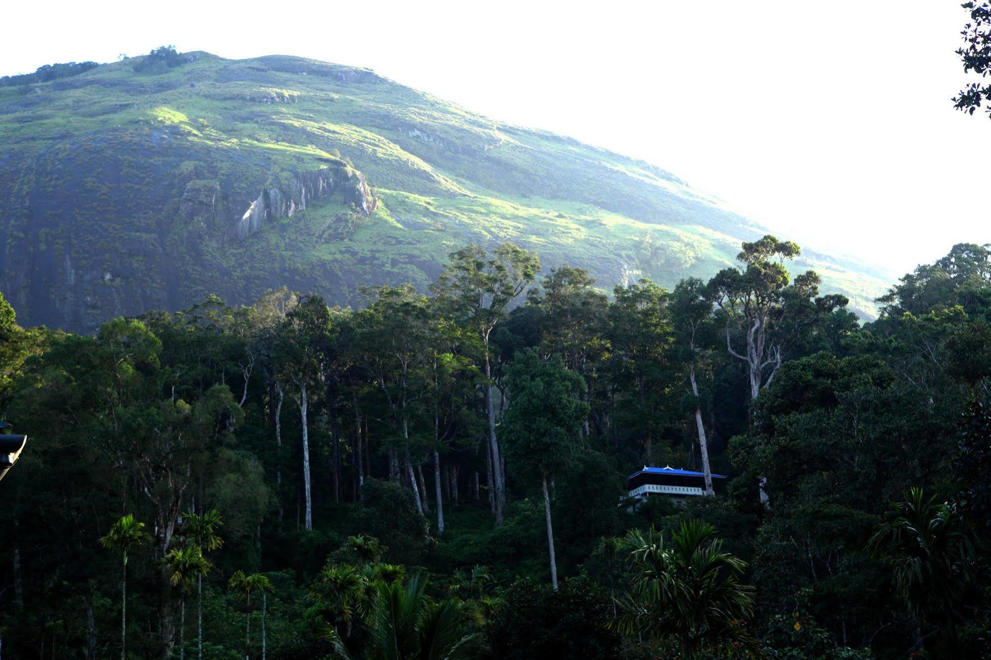 Shades Munnar
